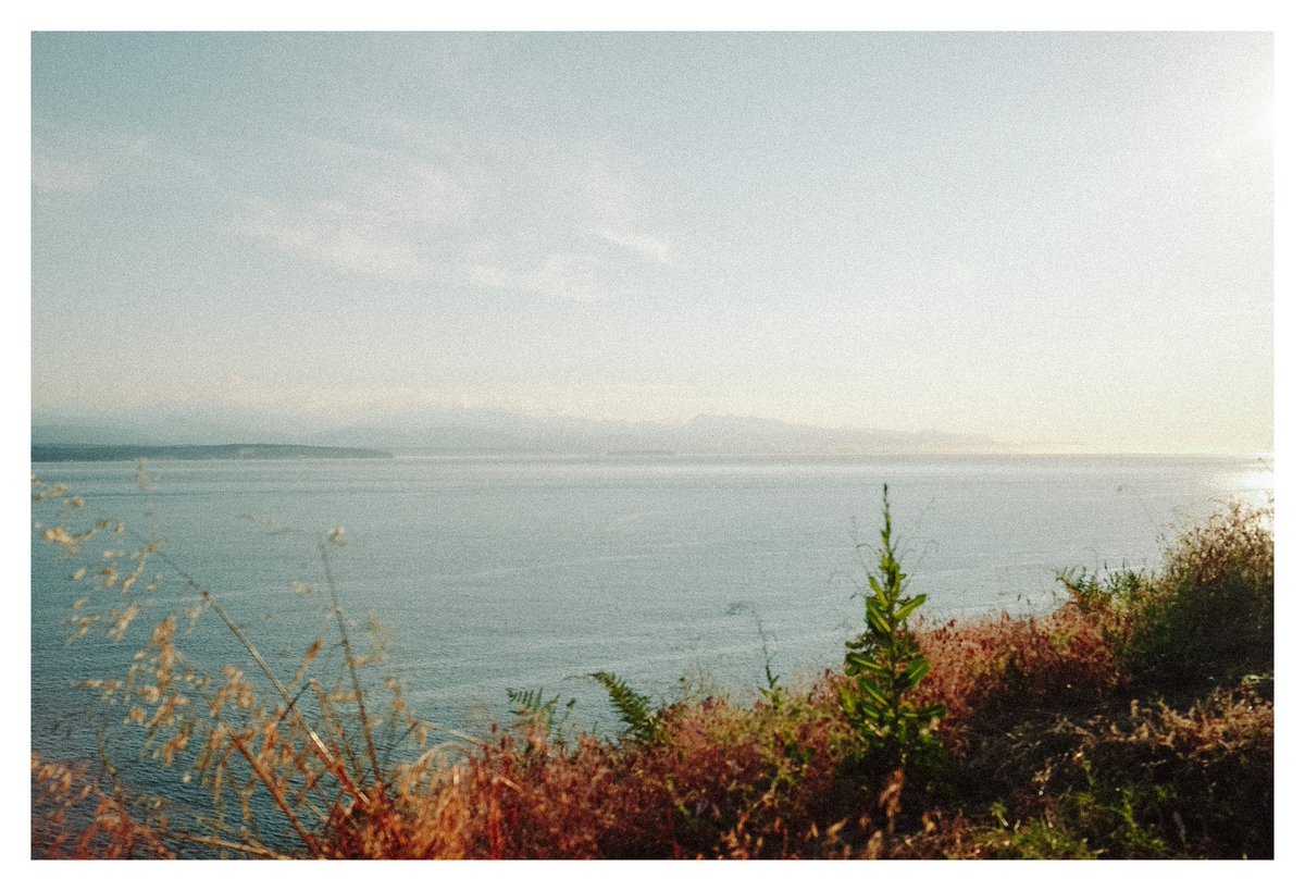 procrastinating + sharing some photos of one of my fave places :) #whidbeyisland #x100v
