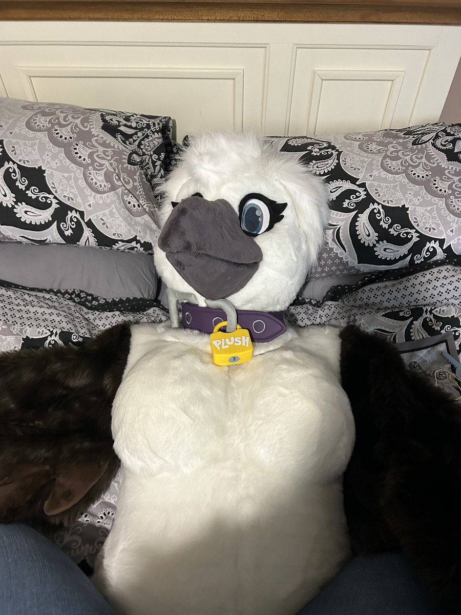SqueakyRyder's tweet photo. Get yourself a (trademark pending) Spirit plush today!

Suit and collar by @MadeByMercury 
Lock by @PlushLocks https://t.co/APtS0ak8uE
