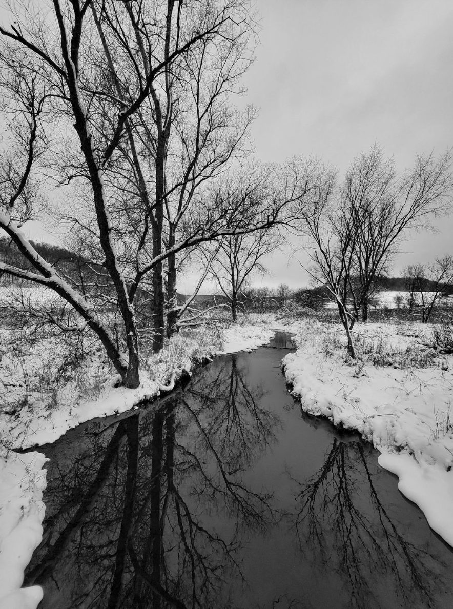 MrsDembowski's tweet photo. The Miracle of Trees, by @MrsDembowski https://t.co/l4u2qD3Jlw https://t.co/1BANs7SatB
