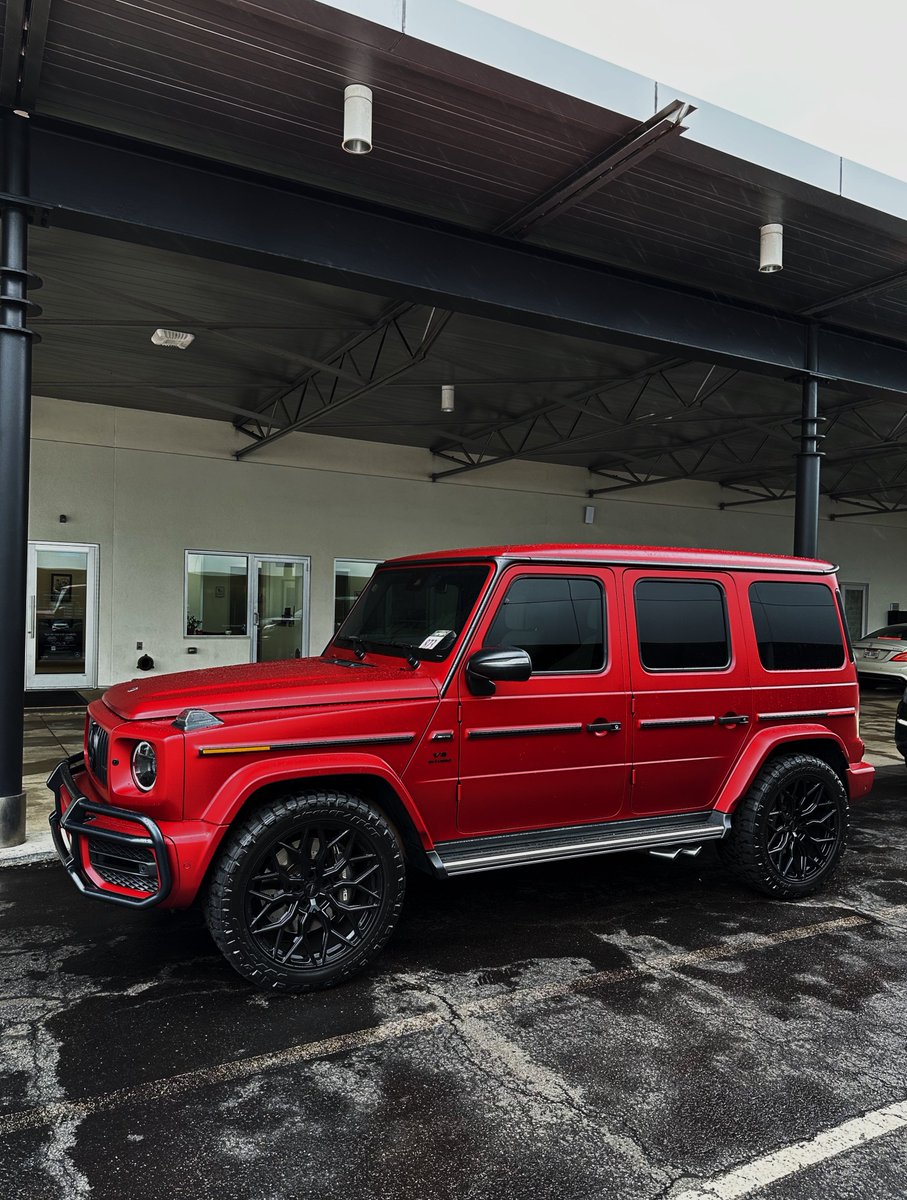 JoeW6_'s tweet image. Cardinal Red Magno