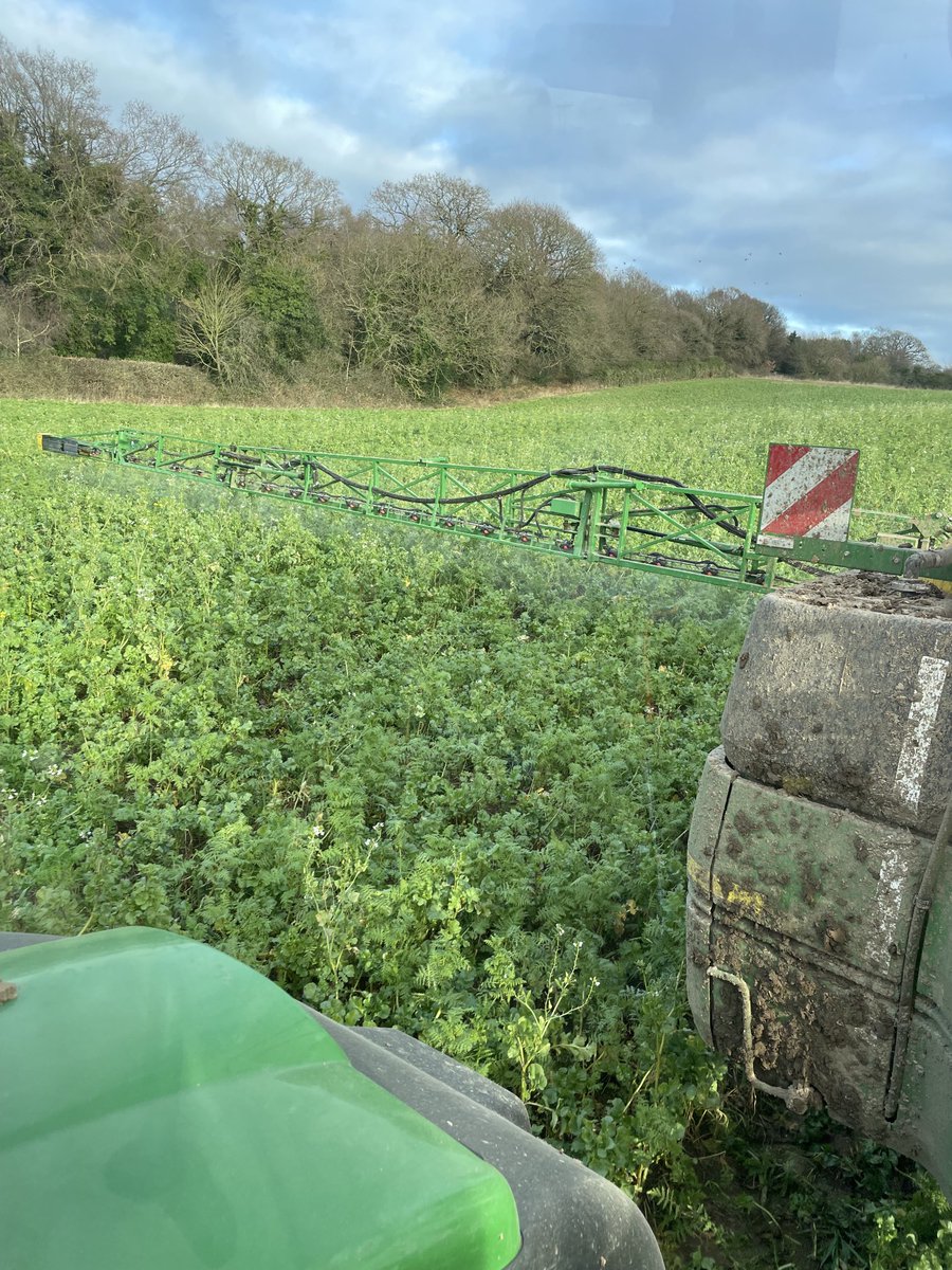 Henry Catling tweet media