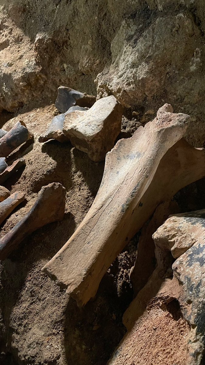 Была в пещере Таврида, очень красивое и спокойное место. Буквально пропитано многомиллионной историей и атмосферой>>>