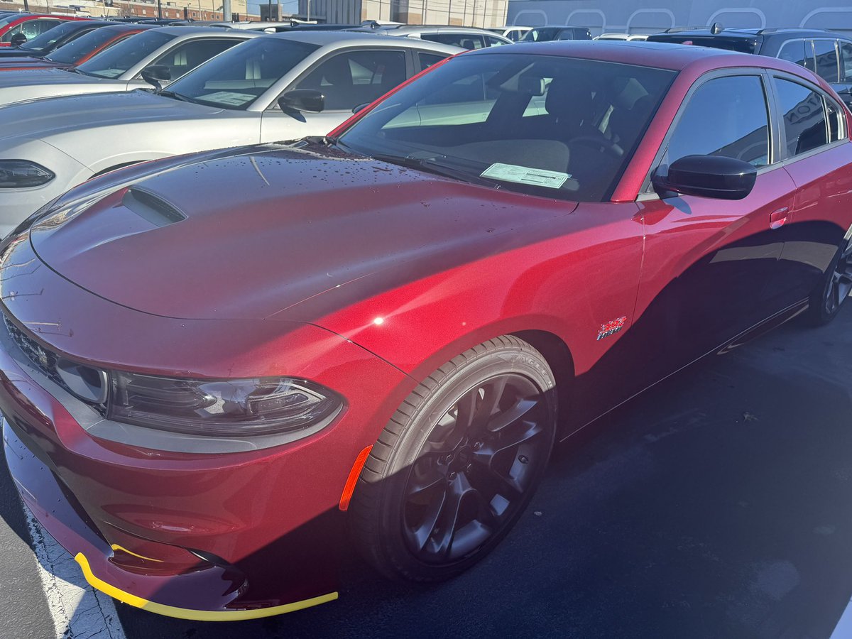 MrOherbin's tweet photo. Invoice pricing on all scats and rts 3364569749 till 1/15/2024 close of day 7 pm while they last orlando https://t.co/Iy0llM80AQ see me for your deal https://t.co/Tm2NCK5xZo