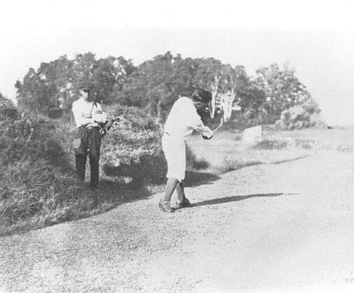 Hickories and Links tweet media