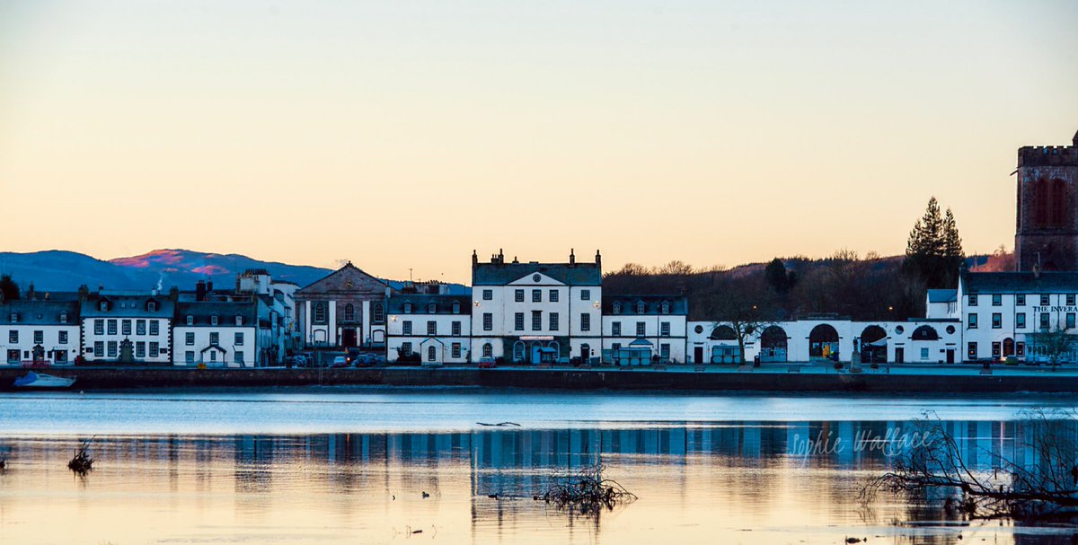 SophieWallaceAuthor tweet media