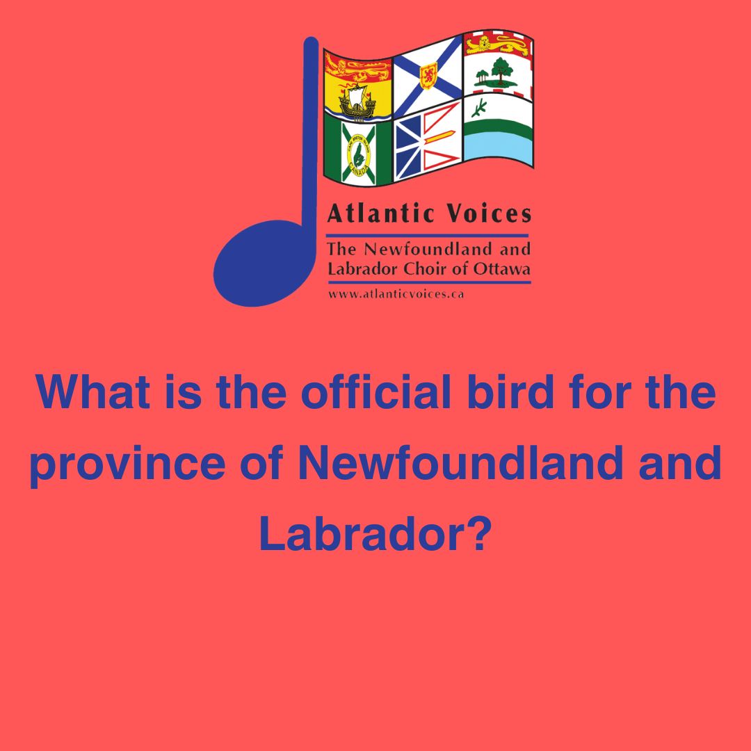 AtlanticVoices's tweet photo. Enter to win two tickets to our upcoming concert.
Jan 28th 3pm.  https://t.co/XJ0DH4nnDo for more information. To enter: Follow Atlantic Voices, Like this post, Share this post, Reply with a photo of the correct answer to the trivia question! #ottawa #ottawamusic #ottawaevents https://t.co/fvP2cw9Yuo