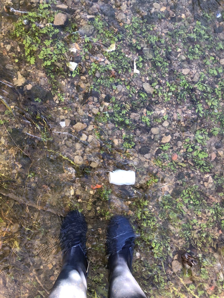 BMudlark's tweet photo. Today’s find- a Victorian paste jar! I wonder which Barnwellian threw this away? 
#pastejar #whatthevictoriansthrewaway #brookfinds #mudlarkfinds https://t.co/2yCJqRJhOg