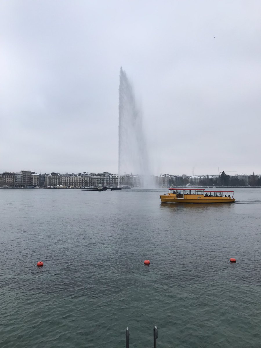 JBVallet's tweet image. 13 janvier 2024, 15h39, température extérieure -2 degrés. 4 nageurs dans le lac Leman…