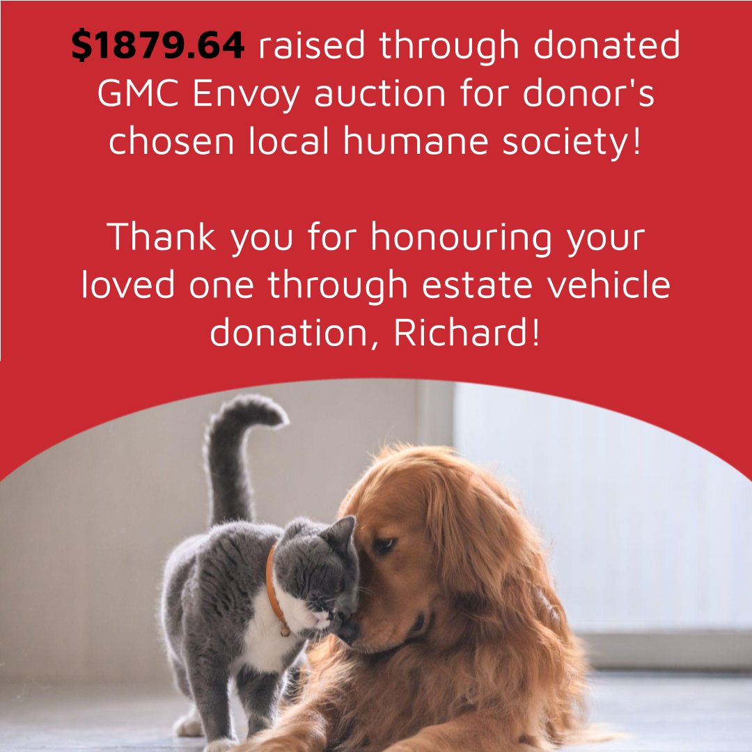 DonateCarCanada's tweet photo. Your 🚗🛻, your charity of choice! Donate today!

#bettywhitechallenge #bettywhite #spca #animalshelter #humanesociety #internationalqualityoflifemonth #CNOY #trainyourdog #estategiving #donateacarcanada #freetow #HumanTraffickingAwareness #HumanRights #EndHumanTrafficking https://t.co/cUtzcjVz8O