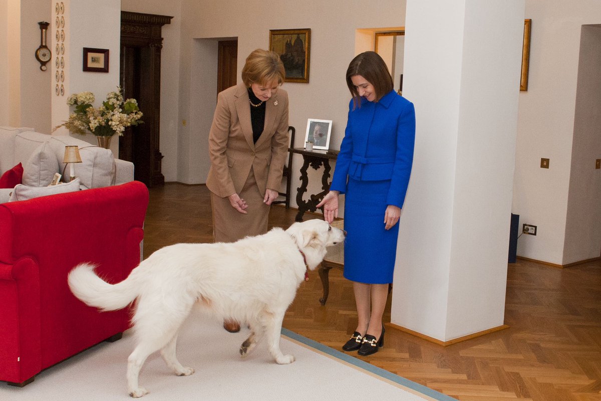 sandumaiamd's tweet photo. Delighted to be hosted by Her Majesty Margareta, Custodian of the Romanian Crown, and HRH Prince Radu at Săvârșin Royal Estate. 

They are steadfast supporters of Moldova and our European journey and I’m deeply grateful for their dedication and friendship. https://t.co/KTZQTggAJb
