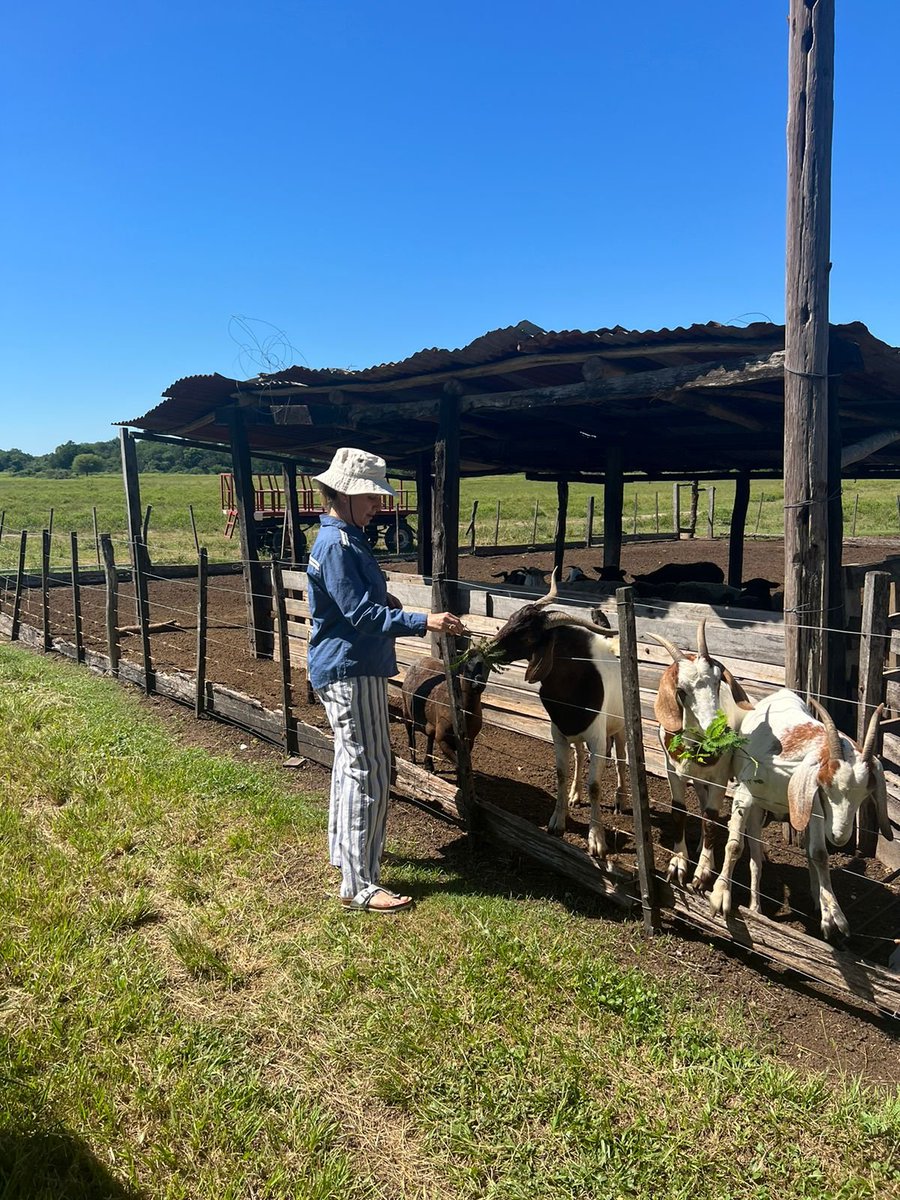 Instituto de Turismo del Chaco tweet media