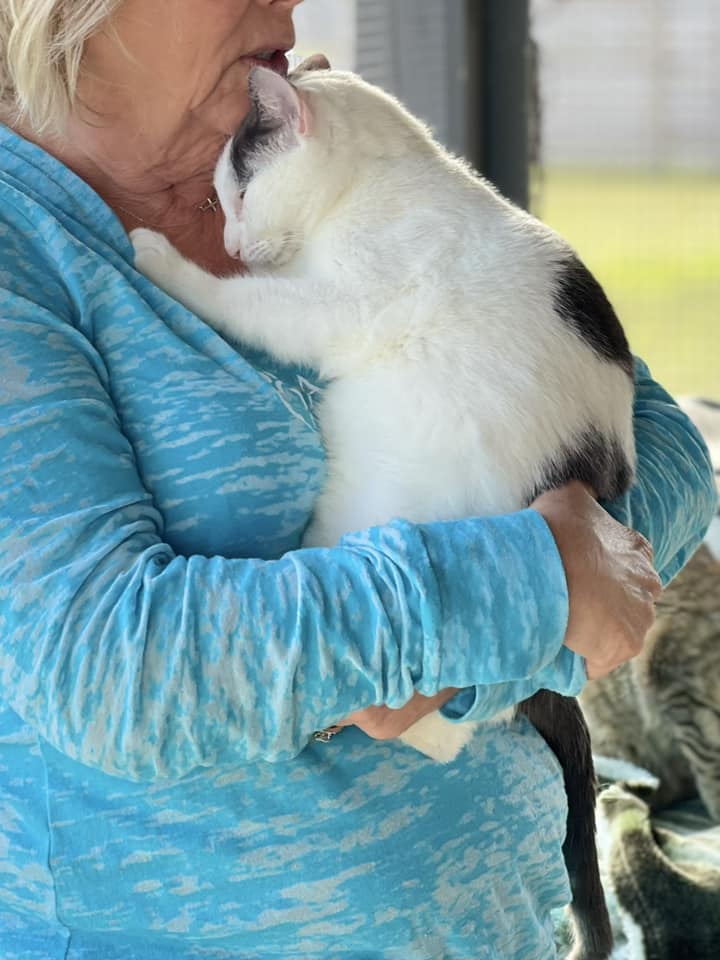 Alaqua Animal Refuge tweet media