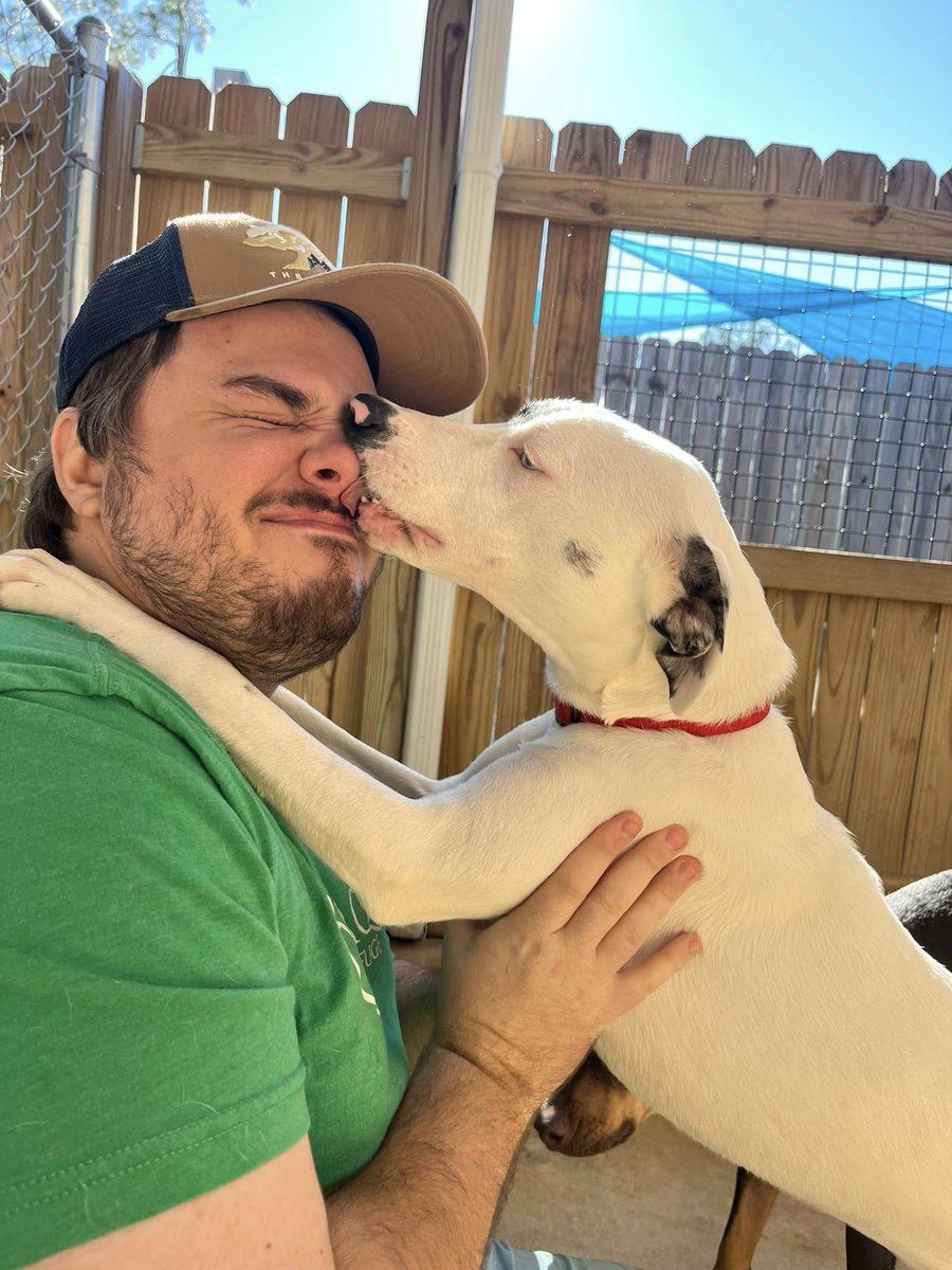 Alaqua Animal Refuge tweet media