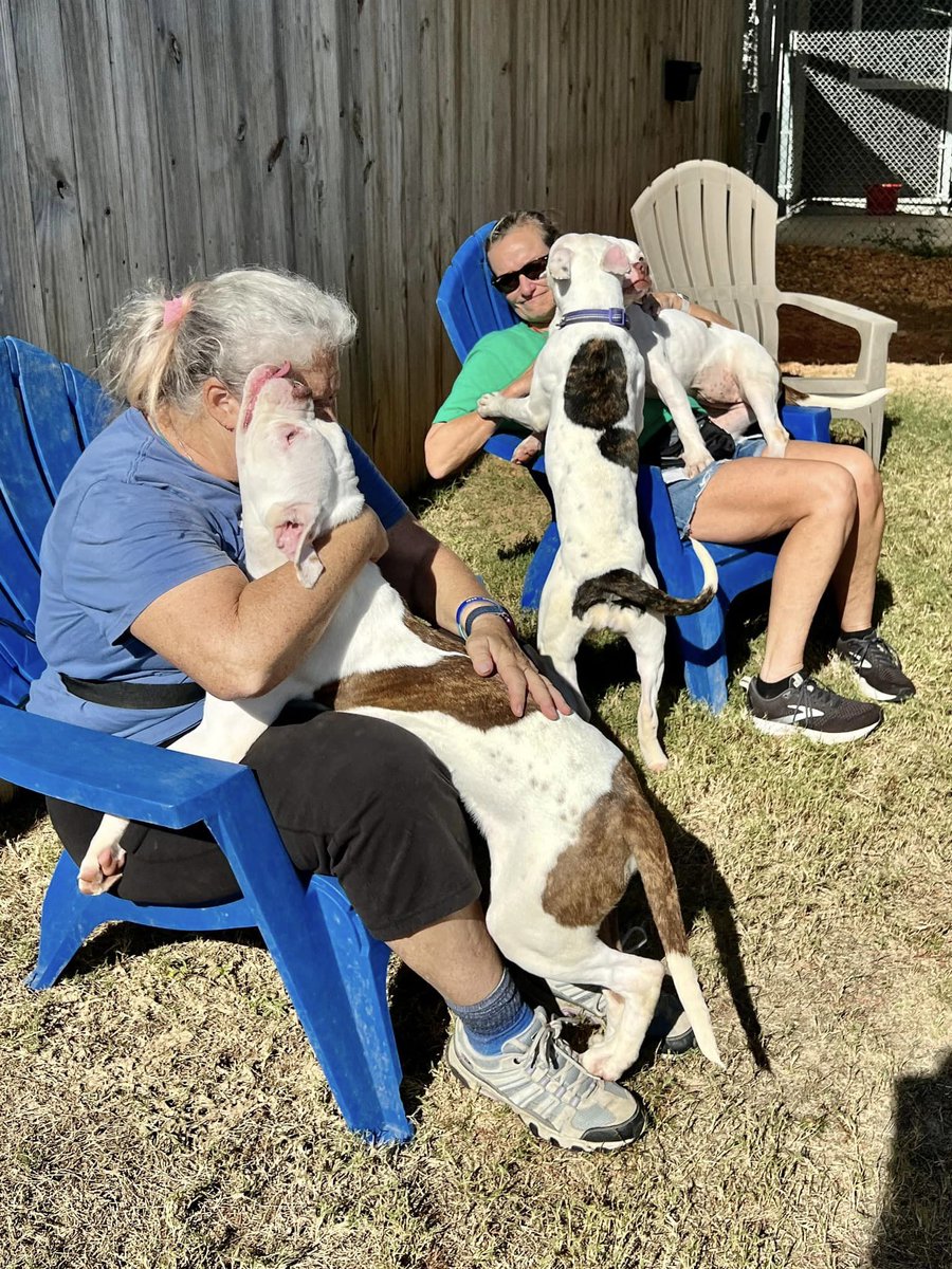 Alaqua Animal Refuge tweet media