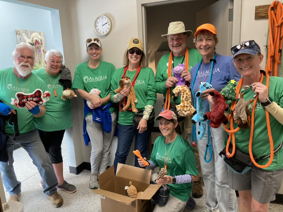 Ready to embark on your rewarding volunteer journey with Alaqua? Join the team to walk dogs, be a cat companion, feed goats, or walk on the wild side with our Wildlife Refuge and so much more! Visit bit.ly/VolunteerForAl… to become a part of our compassionate community today!