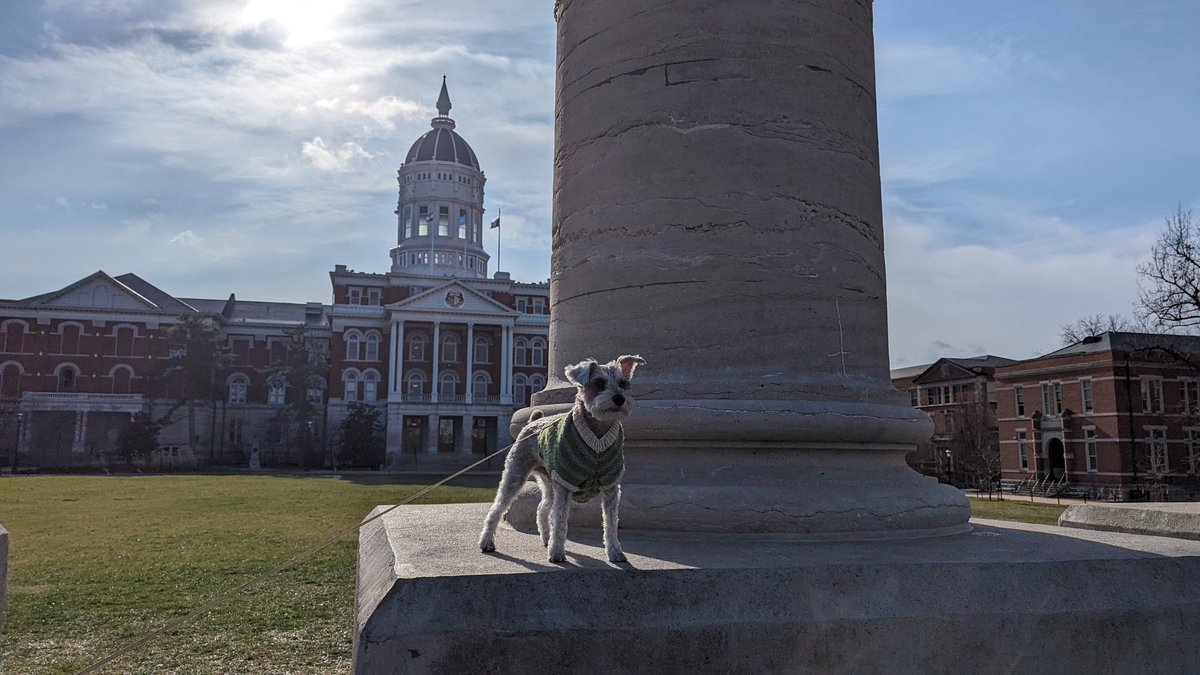 Benjamin Davis tweet media