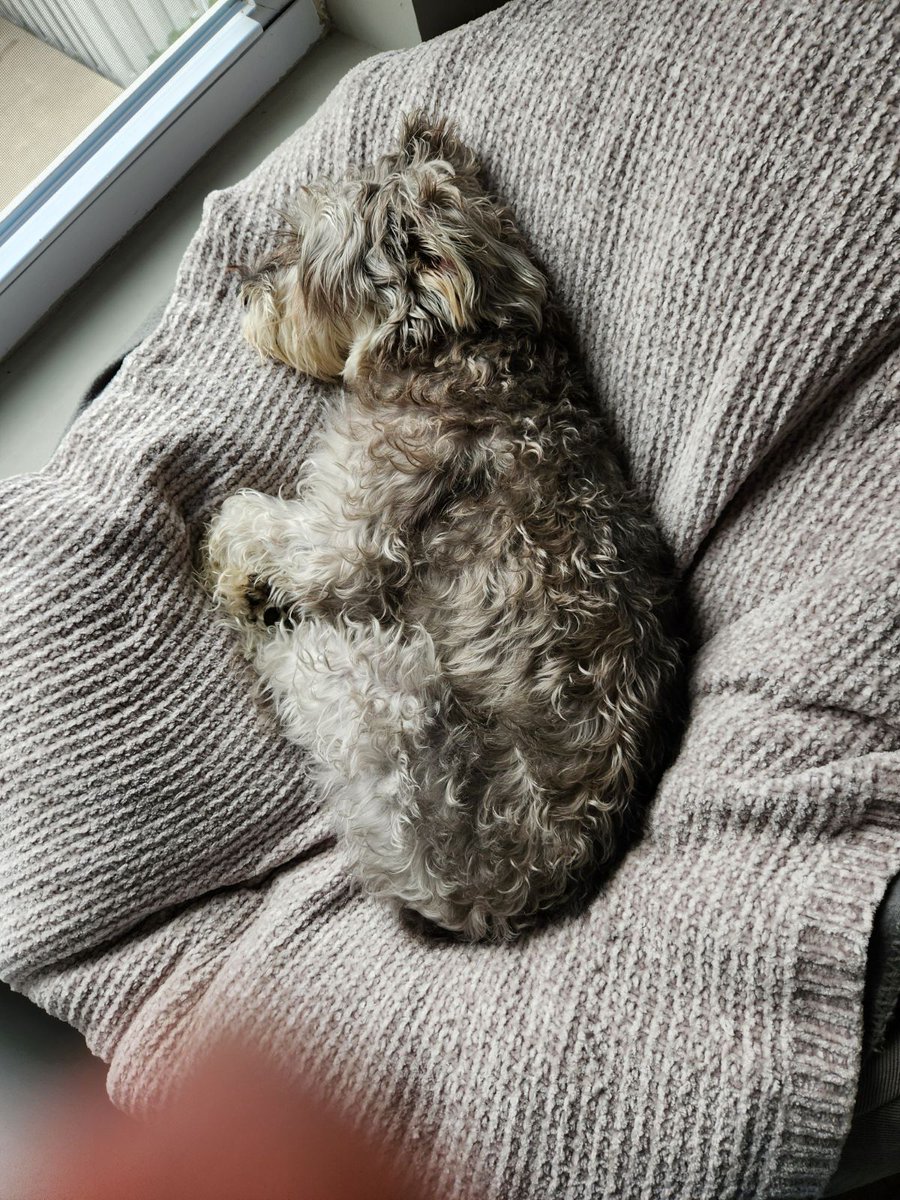 Benjamin Davis tweet media