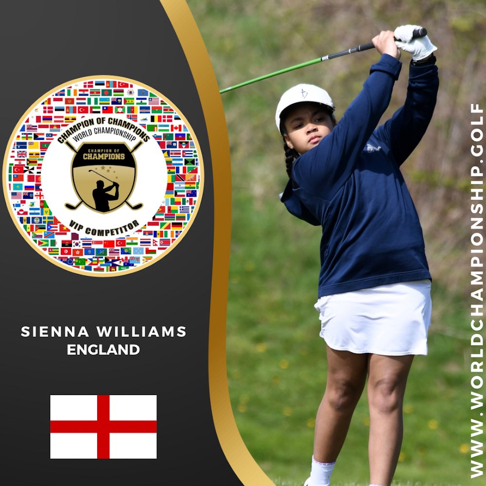 sienna tweet media