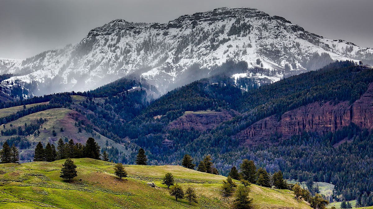 BioOneNews's tweet photo. "Advancing Evidence-Based Decision-Making in Large Landscape Conservation Through the Social Sciences: A Research Agenda for the Yellowstone to Yukon Region" published in @MRDjournal and authored by researchers from @UNBC, @Y2Y_Initiative, and @NCC_CNC

https://t.co/BmqXtTDFDZ https://t.co/8i9rWSfuQq