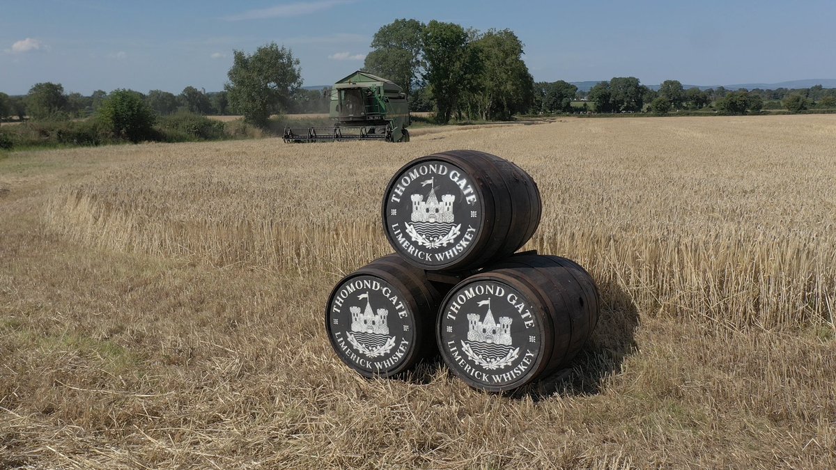 Thomond Gate Limerick Whiskey tweet media