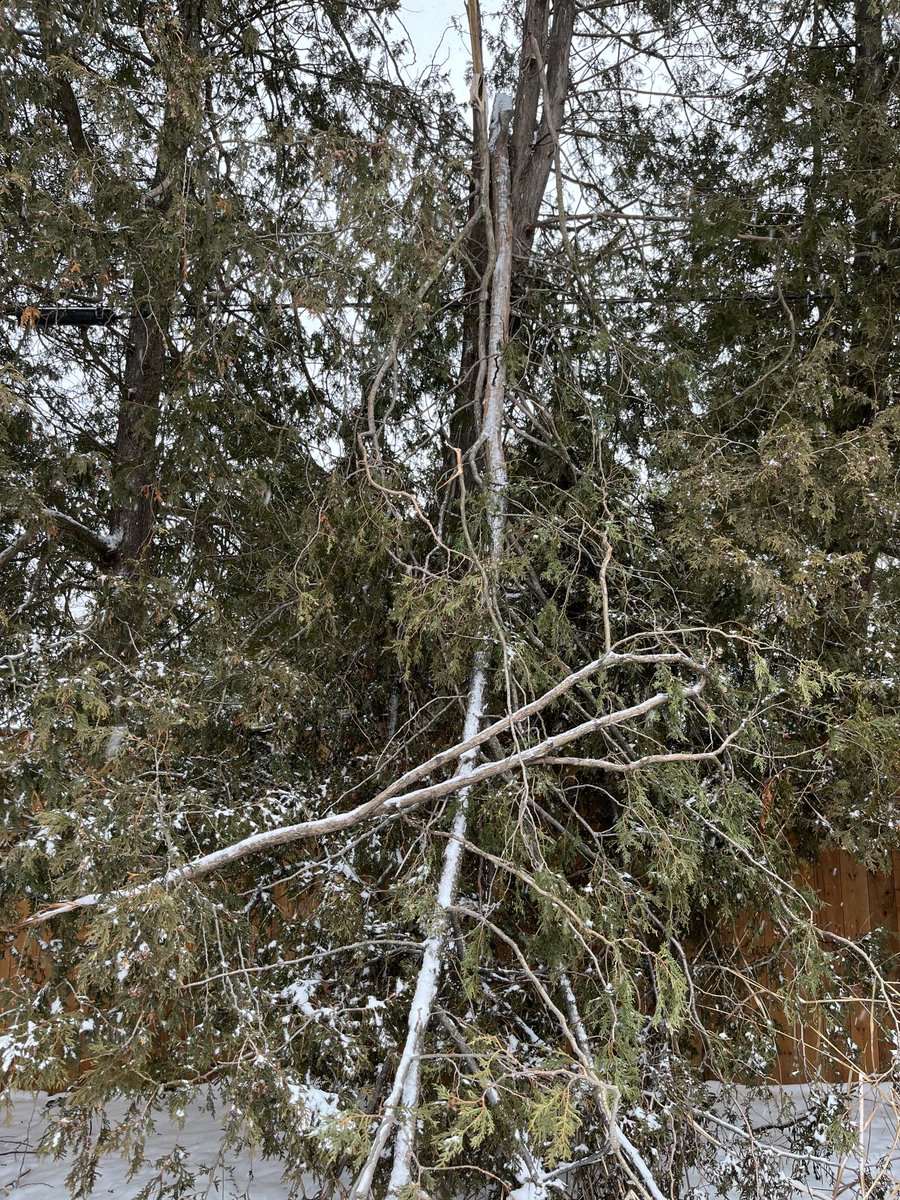 wdbishop94's tweet photo. Stay safe out there.  We have several large tree branches down on our property in Kitchener.  #ONStorm https://t.co/BGByY6QUQ1