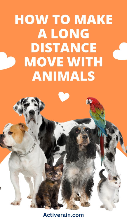 How Much Does Long-Distance Pet Transport Cost? activerain.com/droplet/HVws #RealEstate #Moving