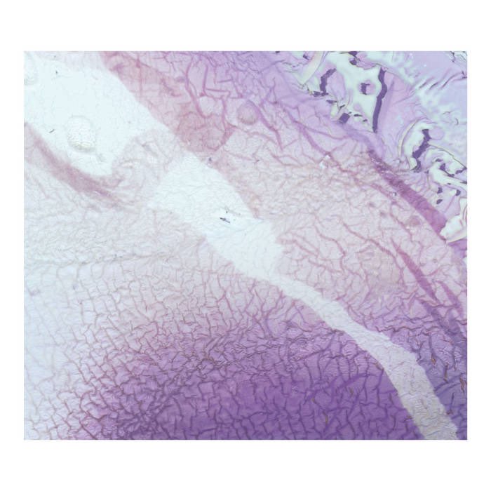 FrthrEvidence's tweet image. Further. Shots: short reviews of things I’ve not gotten around to writing about

Bowing / Claire M Singer / Astrïd / Tape Loop Orchestra / Amon Ra Collective

@Downstreamrec @clairemsinger @touchmusic @falsewalls37 @quietdetails_ @andrewboats

furtherdot.com/2024/01/13/sho…