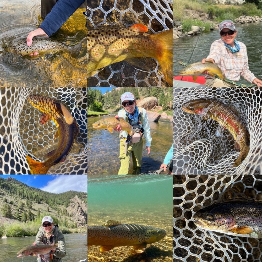 Our Pals at Damsel Fly Fishing held their third annual Catch 12 Club challenge. The goal was simple(ish). Catch at least one fish a month for the whole year.
 
#DamselFlyFishing had ONE determined participant complete all twelve months in 2024. It was CfR's very own Kay DuShane!
