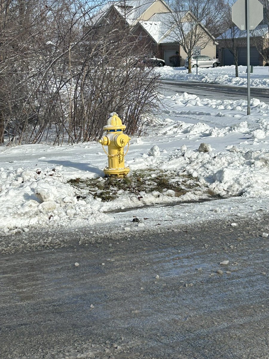 carsonnjohnson's tweet photo. As the snow season is upon us my GAVC Fire Science class was tasked with #adoptahydrant

Adopting a hydrant and clearing it from snow is super important for the fire department. It helps them access the hydrant quickly during emergencies, saving valuable time. https://t.co/rOQ3LSEsSu