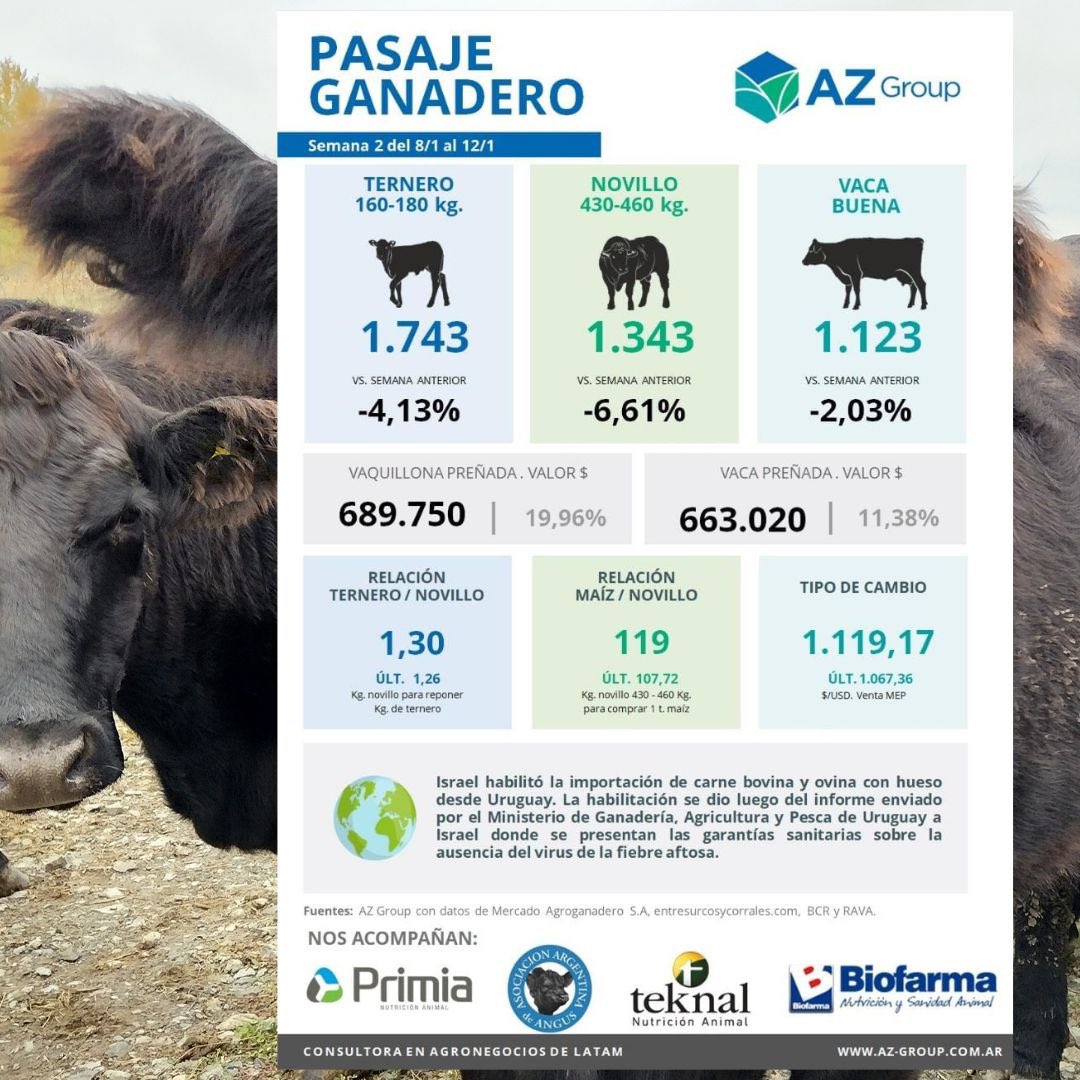 AZGroup_ok's tweet photo. ¡Cierre de la semana con éstos dos resúmenes: Pasaje Ganadero 🐂 🥩💲📊 + Mercado de Granos!🌽🌱📊

💡En el pasaje Ganadero nos acompañan: @EspacioPrimia @BiofarmaSA @TeknalOficial @AngusAsocArg 

#agro #ganadero #resumen #vacas #mercado #novillos #terneros #agronegocios #campo https://t.co/Nbh35udkYd