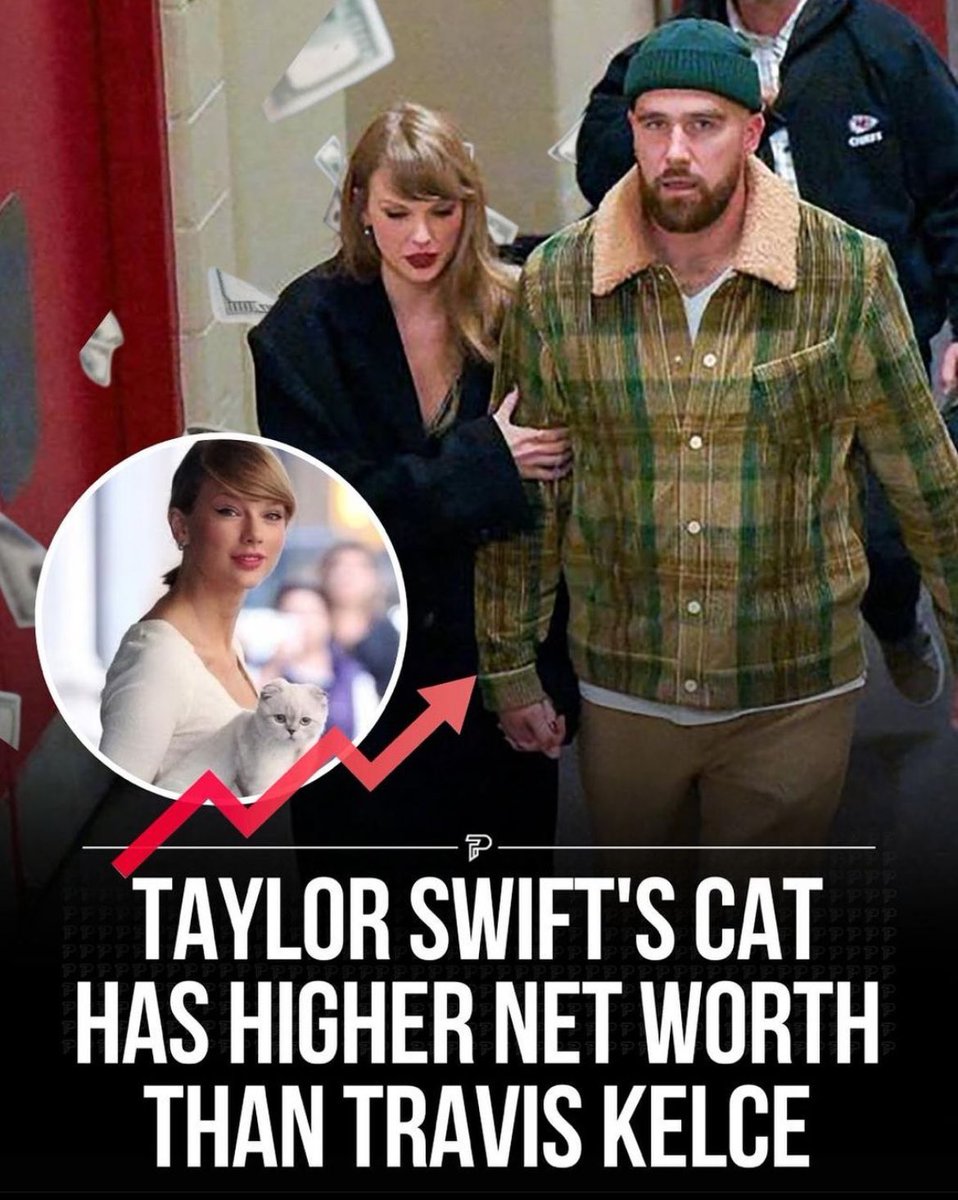 icebagz_'s tweet photo. Meredith is Taylor's cat's name. Imagine her wif a hat on. https://t.co/gUVDkGLmLU