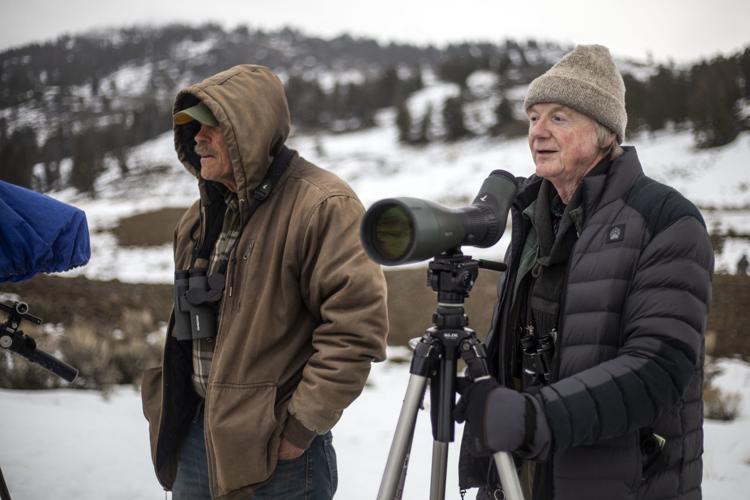 AyshahAwan's tweet photo. My mission is to share what I have learned from having over 100,000 wolf sightings."
Rick McIntyre
2/2
#SaveWolves #StandForWolves #BanHunting #BanTrapping
#BanTrophyHunting 
#ProtectOurWolves https://t.co/aRVWxFDimW