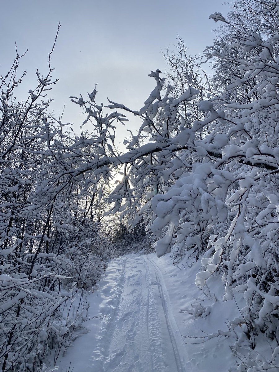 PrimroseRob's tweet image. #Coldweather #Hiking 

Had to go out to boost my nieces vehicle yesterday. So decided to go for my morning hike. -42 c at 7 am -35 c at 2 when left house -39 c in the valley. Had it all to myself just me, nature and the elements. Too cold for my 4 legged partner to go.