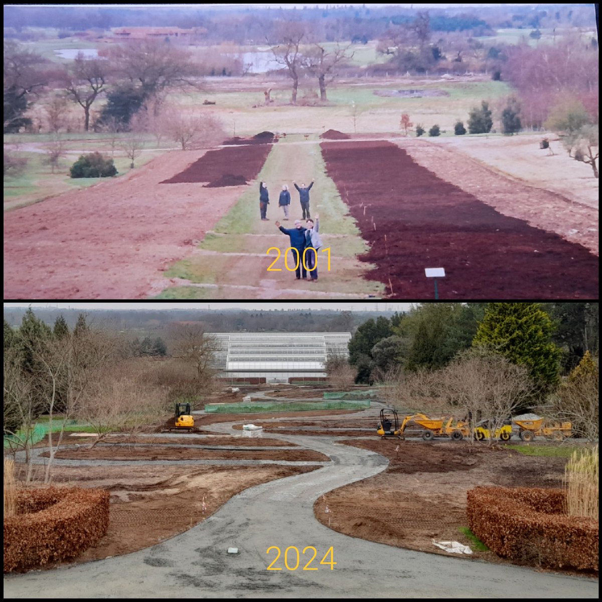 Preparation of the Piet Oudolf borders @RHSWisley 2001 v 2024 Its good to see the new design taking shape.