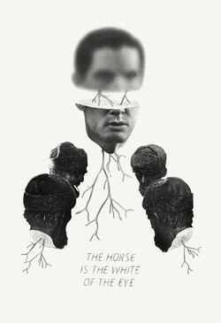 pajaro_burlon's tweet photo. #twinpeaks Art by Greg Ruth: "The Horse is the White of the Eye" #GregRuth https://t.co/uhx165nkHv