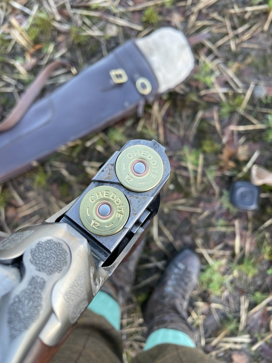 GunShopGirlx tweet media