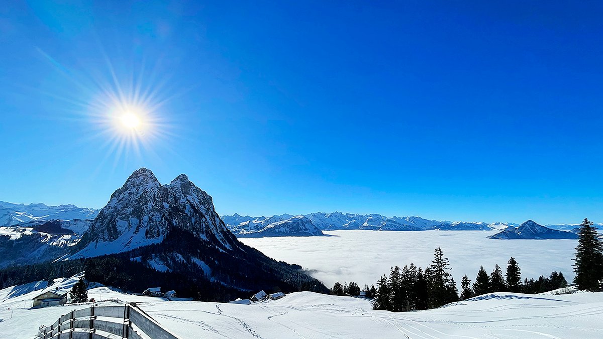 saschatorok's tweet image. Die wichtigste Zutat für einen perfekten Skitag ist weder der Pulverschnee, noch der stahlblaue Himmel oder die frische Bergluft, sondern die Gewissheit, dass die anderen dort unten in der trüben Suppe hocken.