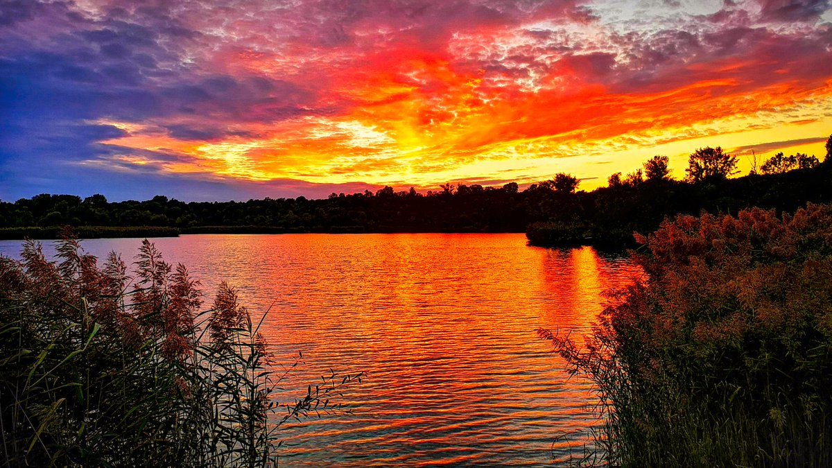 I'm missing summer.
#summermemories #missingsummer #wienerberg #pond #sunsetphotography #sunsetphoto #waitingforsummer #summerpic #photooftheday #happymemories