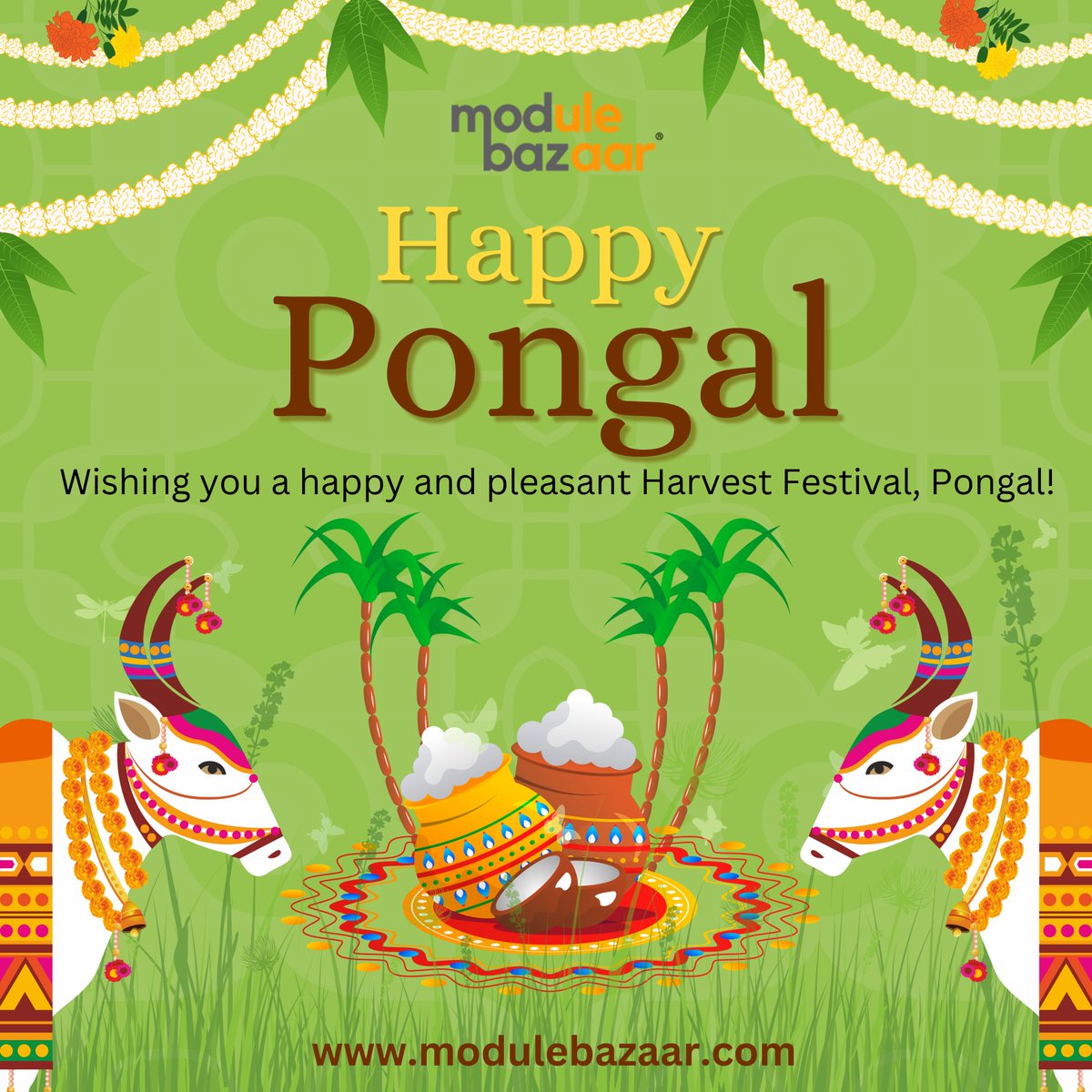 ModuleBazaar's tweet image. Wishing you abundant joy, prosperity, and the warmth of togetherness this Pongal! 🎊May your harvest season be filled with sweet moments and success.

#MB #modulebazaar #EGS #egrovesystems #PongalCelebrations #HarvestHappiness #HarvestOfJoy #FestivalOfHarvest #PongalWishes