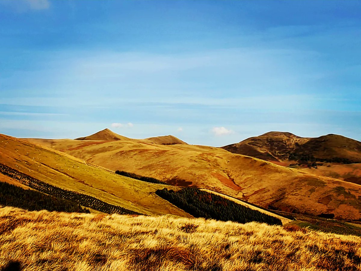 blonde_on_bikes's tweet photo. Lovely hike up around Paties Hill from Carlops this afternoon
#carlops #pentlandhills #patieshill #scottishborders #midlothian #northeskreservoir https://t.co/pvheiNZh6Z