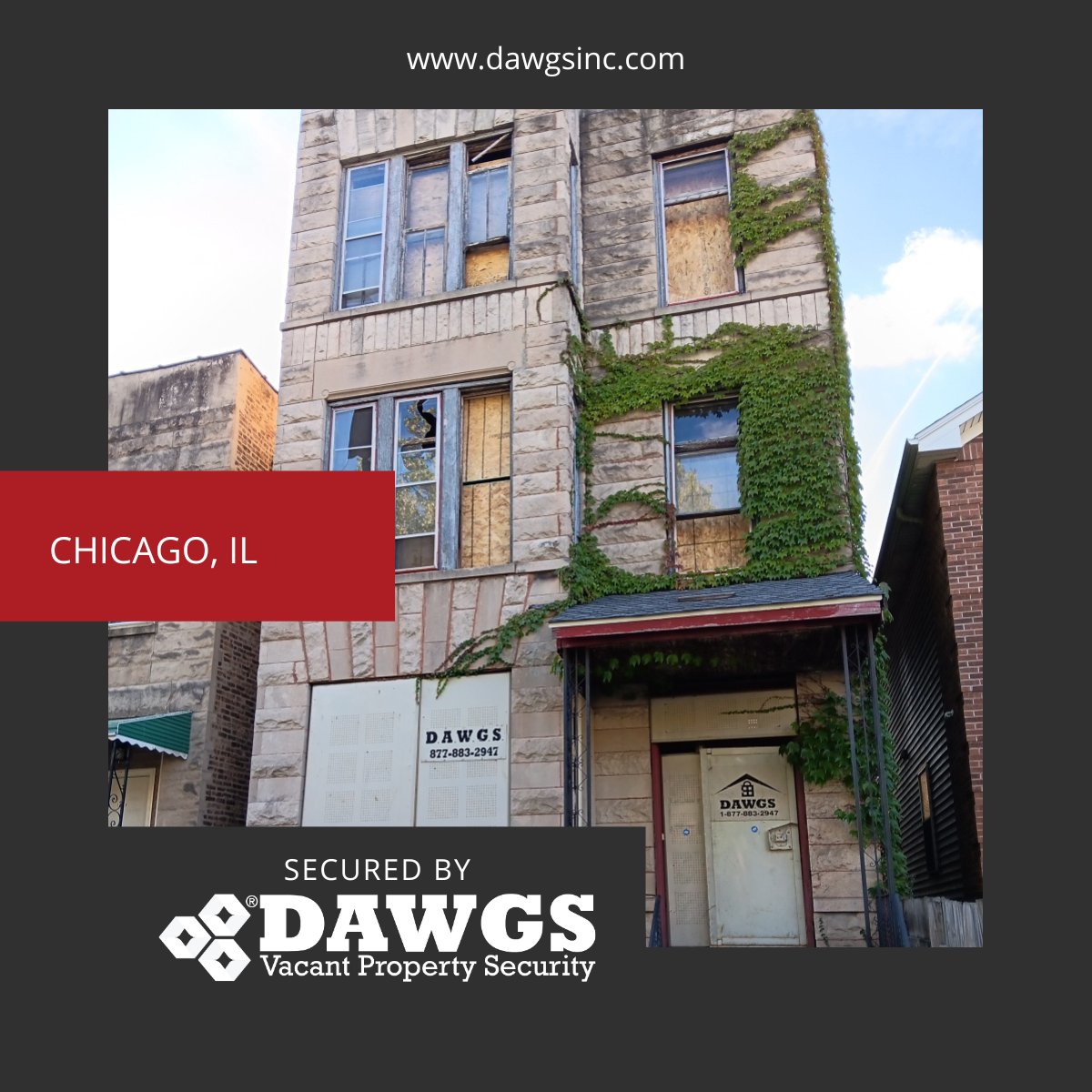 DAWGSIncJG's tweet image. 🚪 When vacant properties in Chicago need protection, they turn to us. Our steel door and window guards are the guardians against unwanted entry. Invest in peace of mind today! #ChicagoSecurity #SteelGuardSolutions #ProtectProperty dawgsinc.com/chicago-vacant…