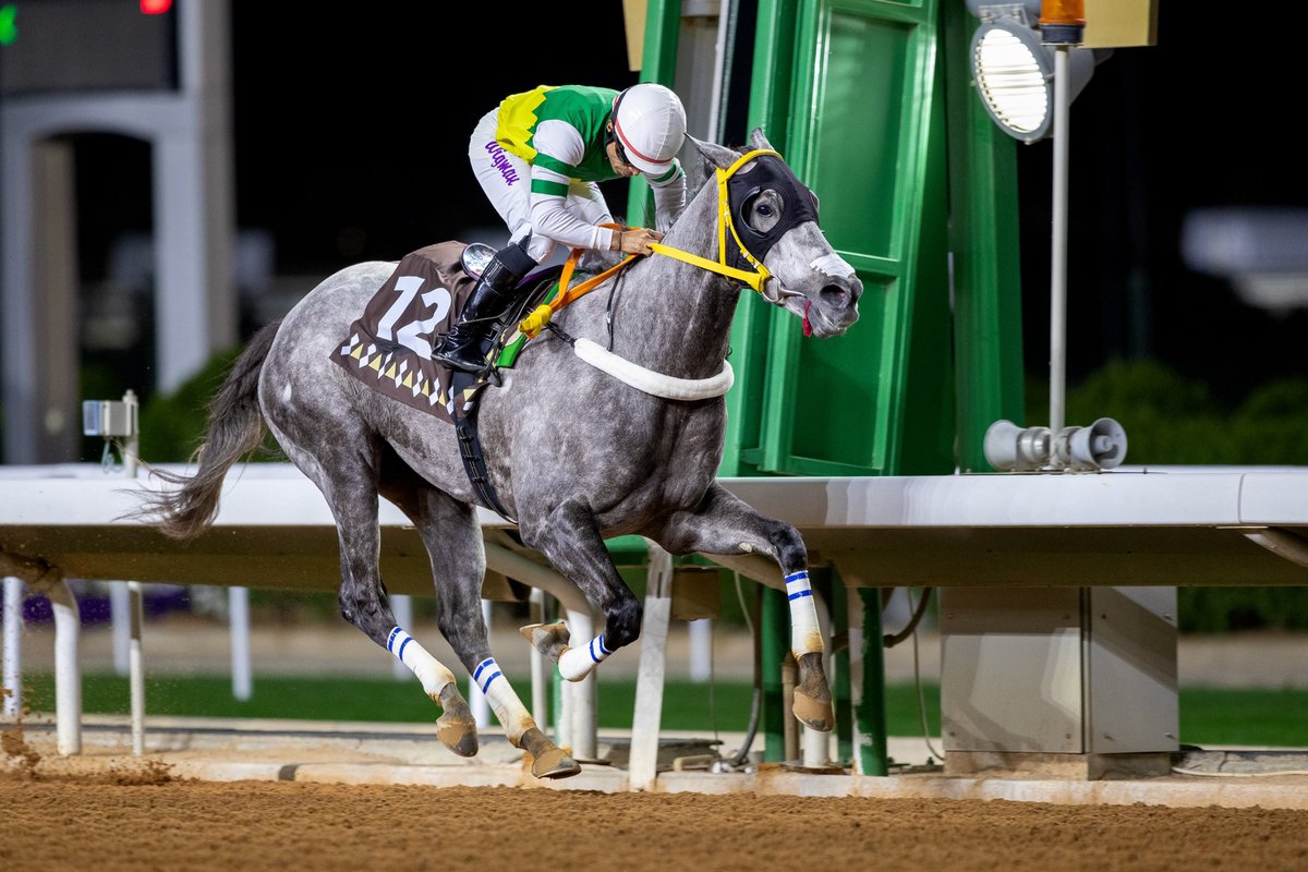 JockeyClub_SA's tweet photo. نتيجة الشوط الـ 10 الحفل ( 90 ) 

▫️الفائز : ديسمبر
▫️المالك : محمد سعيد محمد الودعاني
▫️المدرب : عبدالرحمن العتيبي
▫️الخيال : وجبرتو راموس 
▫️المسافة : 2000م
▫️الزمن : 2:05.71

#نادي_سباقات_الخيل 🐎 https://t.co/3HNX4ozf58
