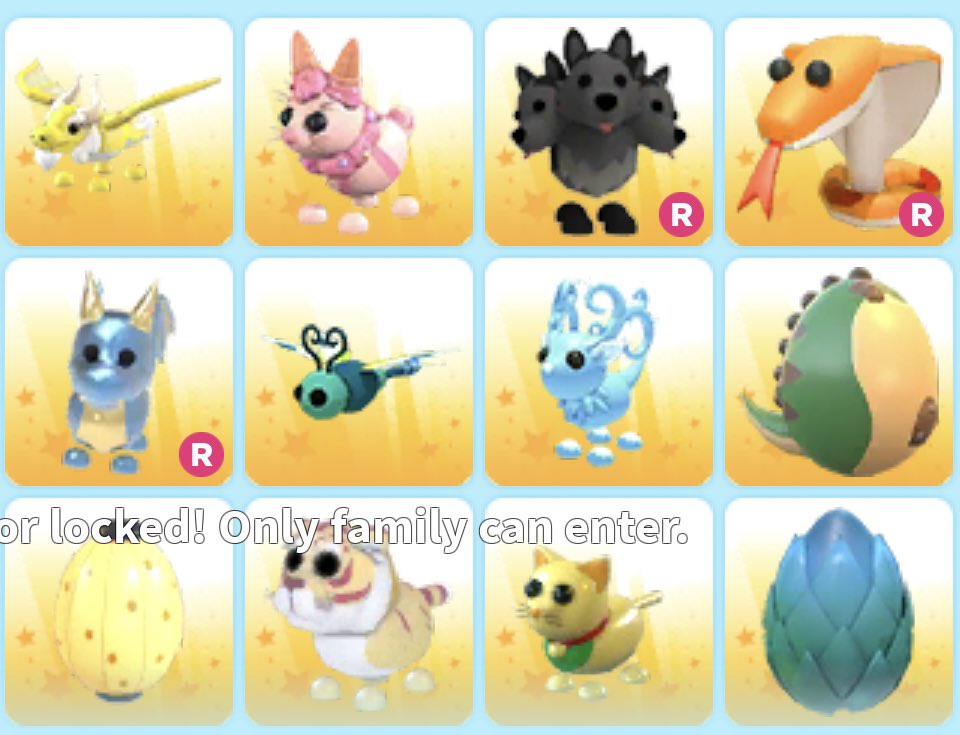 chandraleela999's tweet photo. @PlayAdoptMe Trading these items! https://t.co/ZoBbjocSNB