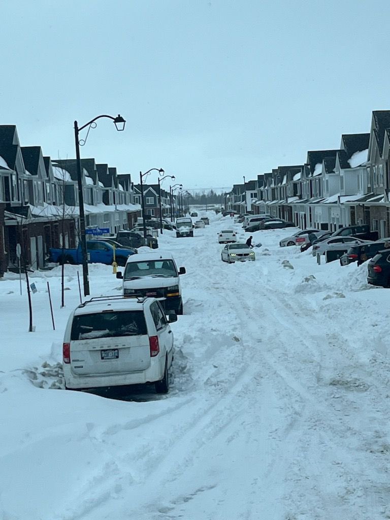 David Hill tweet media