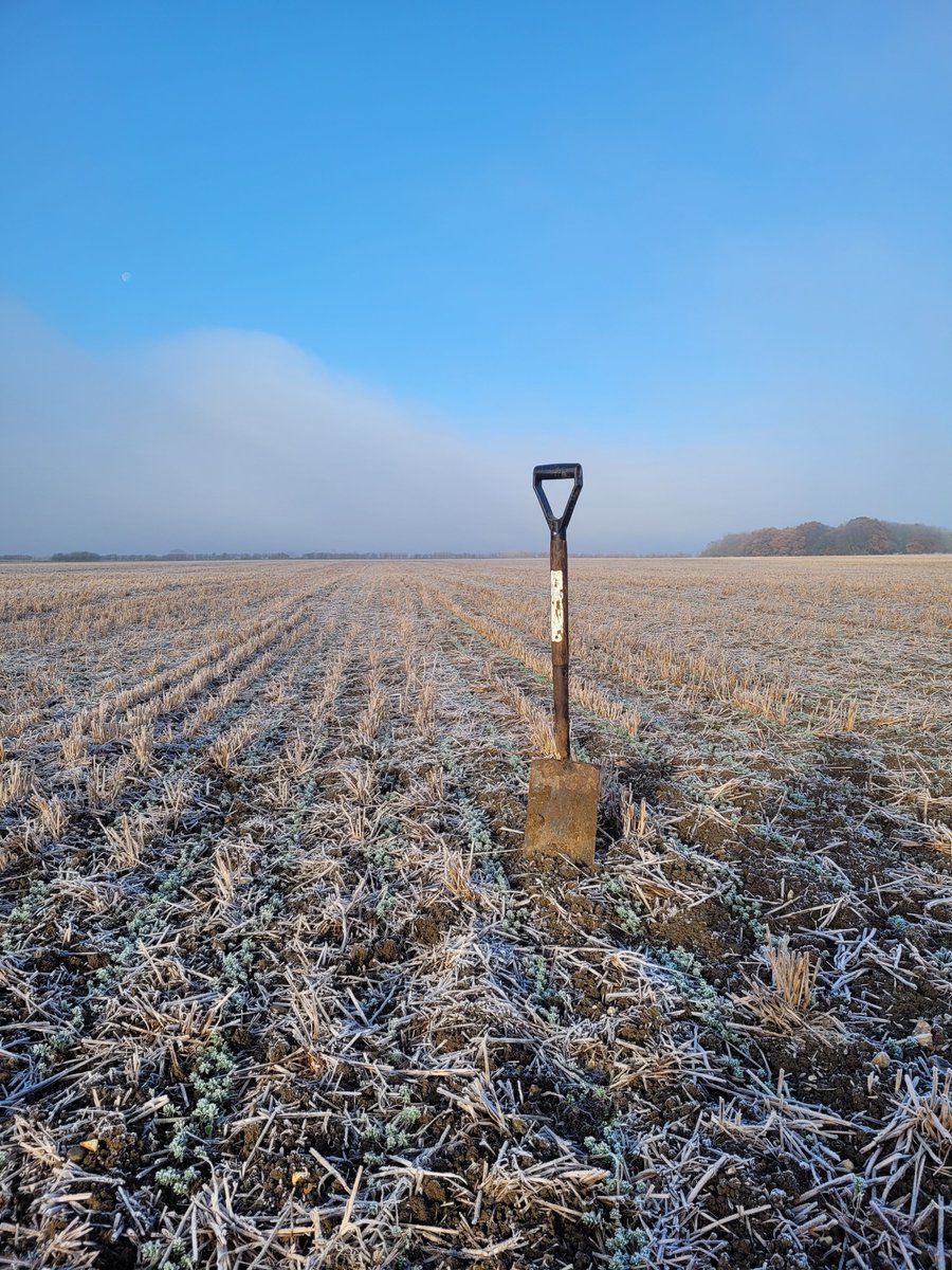 For those of us in the Northern Hemisphere it may be too cold to get a spade into the ground, but that needn't stop us from monitoring the health of the soil!🌱Follow the link below for advice on how to monitor soil health in every season of the year: buff.ly/48tElr7