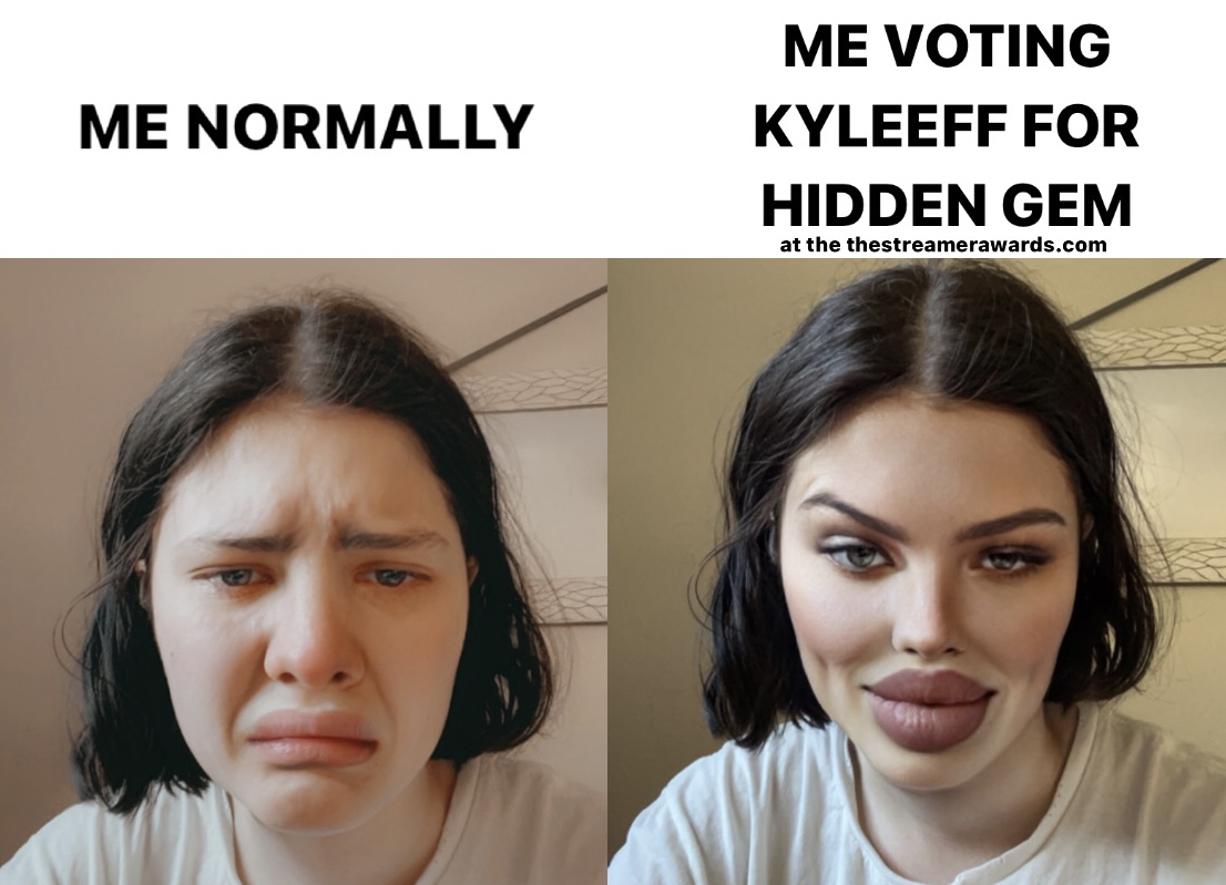 madisbench's tweet photo. this can be you too! #VoteKyleEff for hidden gem for the streamer awards!! https://t.co/g7v6kwsFvM