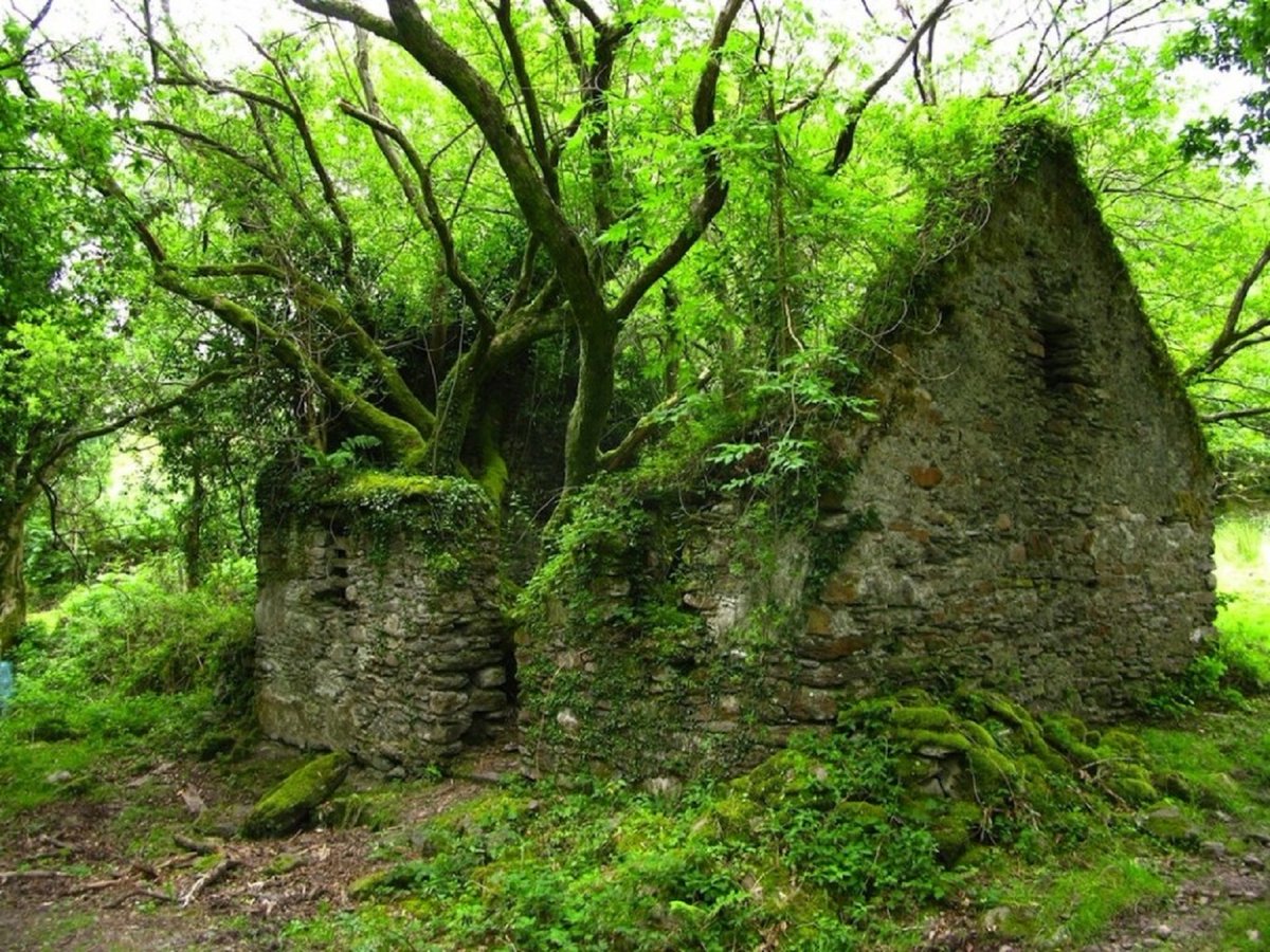Abandoned stone cottage along the Kerry Way Walking Path between Sneem and Kenmare. County Kerry, Ireland. NMP.
