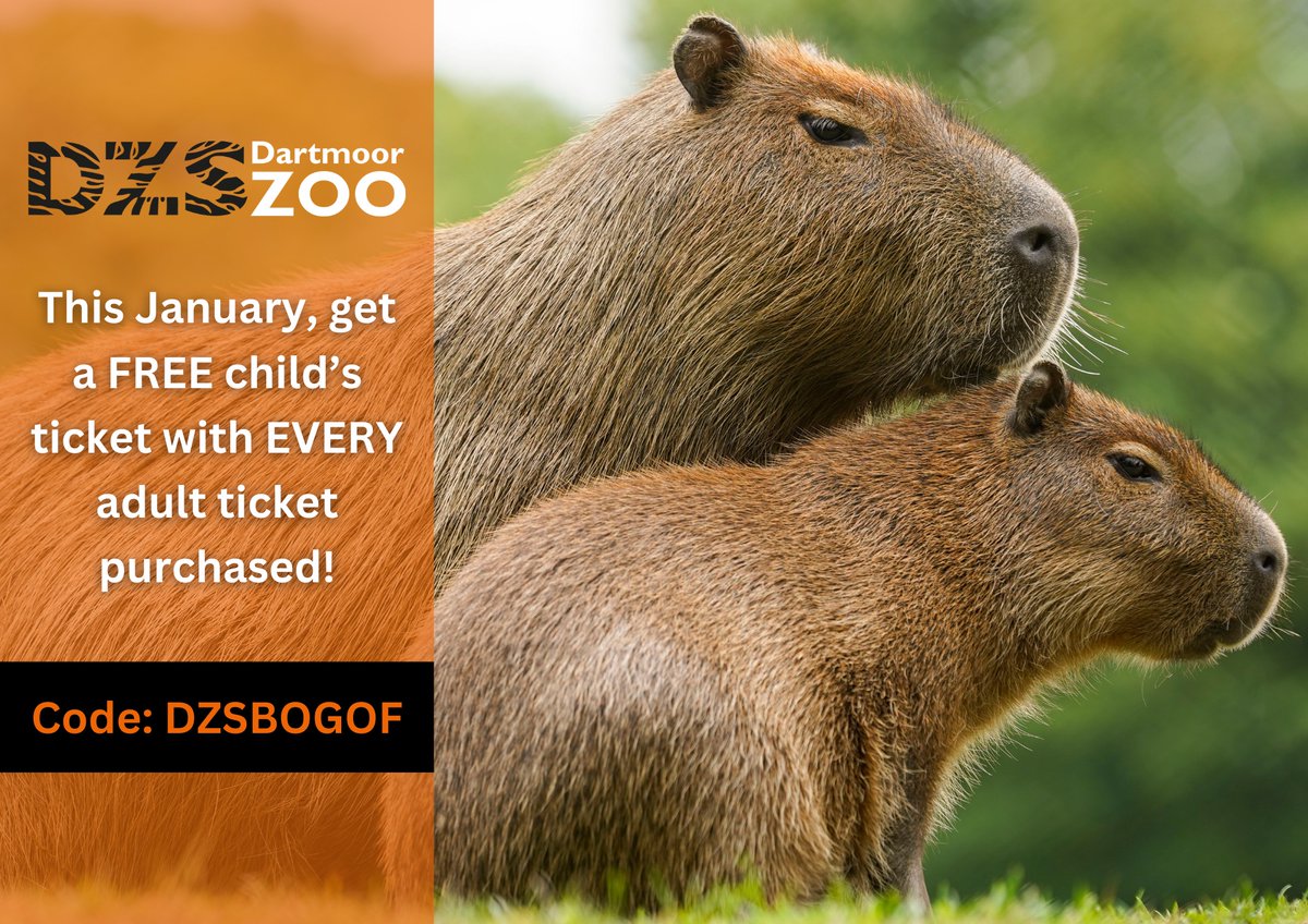 DartmoorZoo's tweet photo. Your chance for a zoo-tastic adventure continues! ๐
Use code DZSBOGOF until Jan 31st to enjoy a FREE child ticket with every adult ticket purchase. ๐พ
Don't miss out, book now! ๐ https://t.co/xvuqHvlhOr
#dartmoorzoo #DZS #WeBoughtAZoo #JanuaryDeal #VisitDevon https://t.co/MCtk11Yk4p