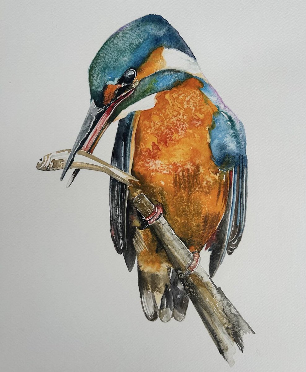Jim Moir tweet media