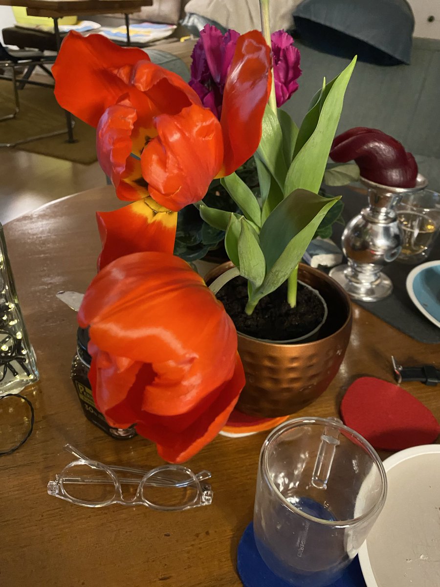 Lob_developing's tweet photo. @liline44000 Voila - une surprise de tulipes rouges https://t.co/k4Q2BsgEcC